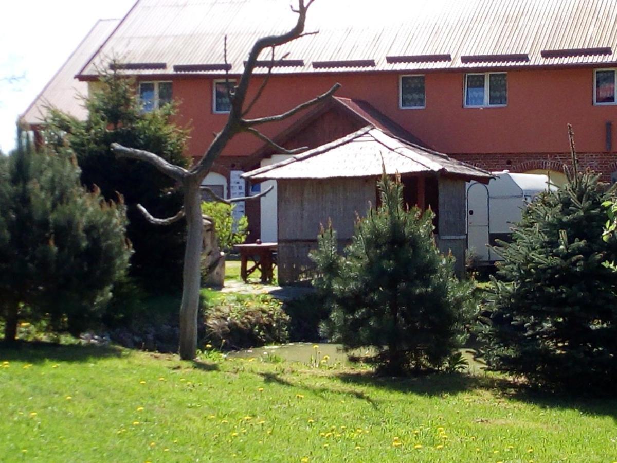 Czerniki Agroturystyka Andrzejowka מראה חיצוני תמונה