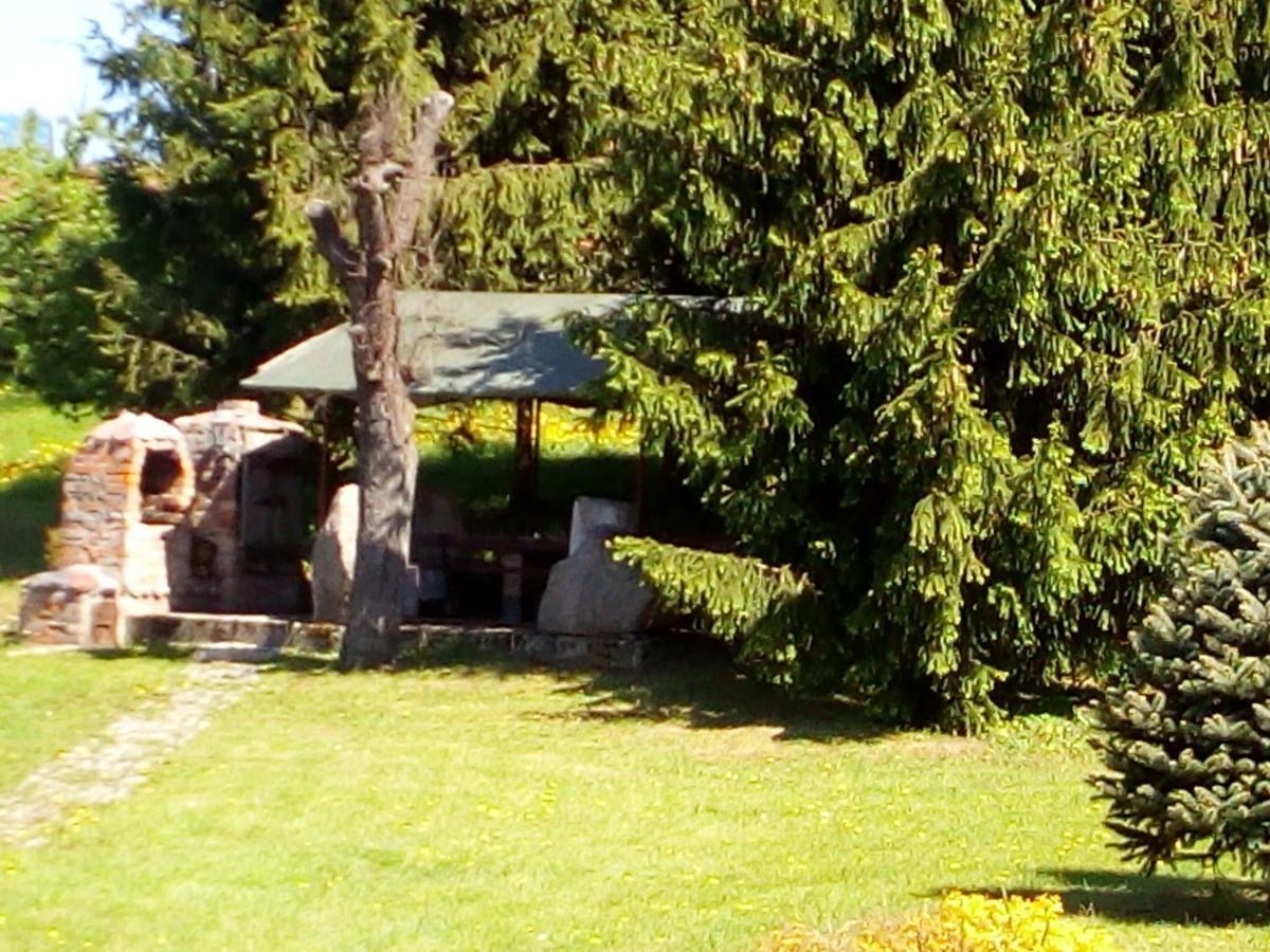 Czerniki Agroturystyka Andrzejowka מראה חיצוני תמונה